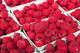 raspberry fruits in white containers