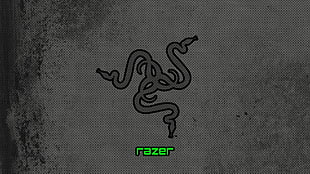 Razer logo, Razer