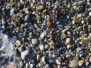 assorted pebble lot, Sea stones, Shore, Wet HD wallpaper