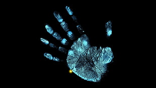 human palm digital wallpaper