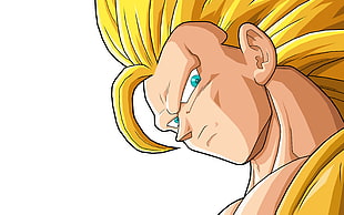 Dragonball Super Saiyan 3 Son Goku, Dragon Ball, anime, Son Goku, Super Saiyan HD wallpaper
