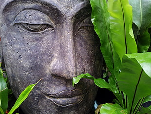 black totem mask beside green leaf plant