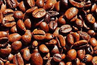 coffee beans