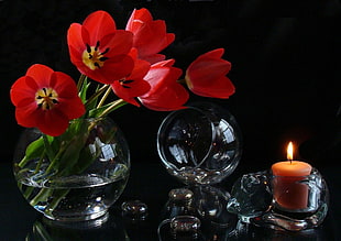 Tulips,  Loose,  Flowers,  Vase