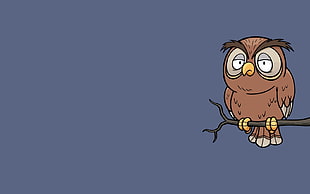 owl cartoon illustration HD wallpaper
