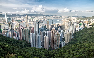 high-rise buildings digital wallpaper, city, Hong Kong