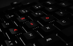 close up photo of computer keyboard
