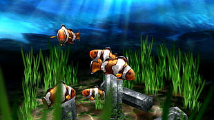 five Clown Fish illustration HD wallpaper