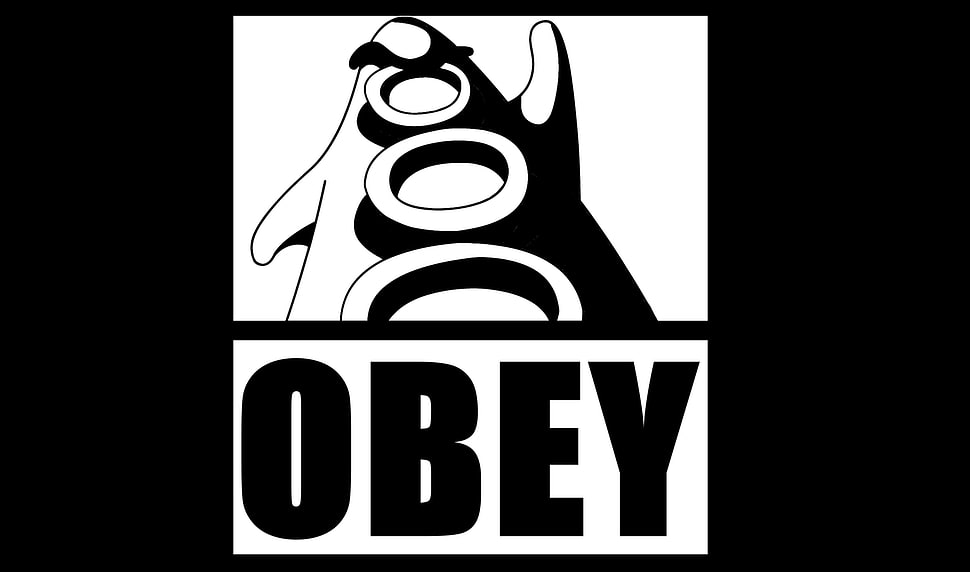 white and black Obey logo HD wallpaper
