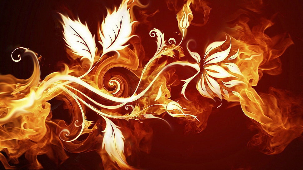 flame and flower digital wallpaper HD wallpaper