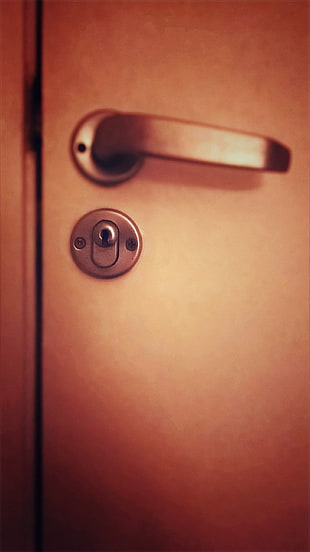 gray door lever, door, lock
