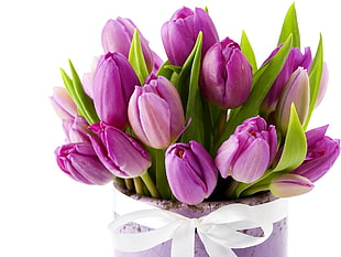 purple tulips with purple ceramic vase