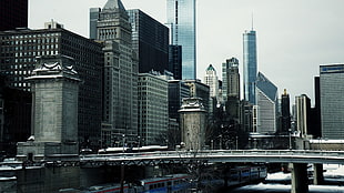 gray concrete high-rise buildings, city