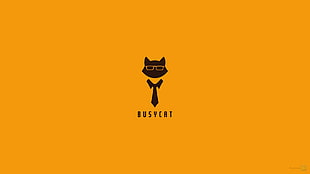orange background with Busycat text overlay HD wallpaper