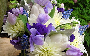 bouquet of purple and white flowers
