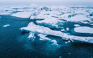 photo of iceburgs, nature, Arctic, ice, sea HD wallpaper