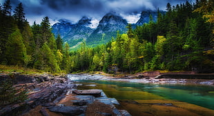 green tree, mountains, clouds, forest, river