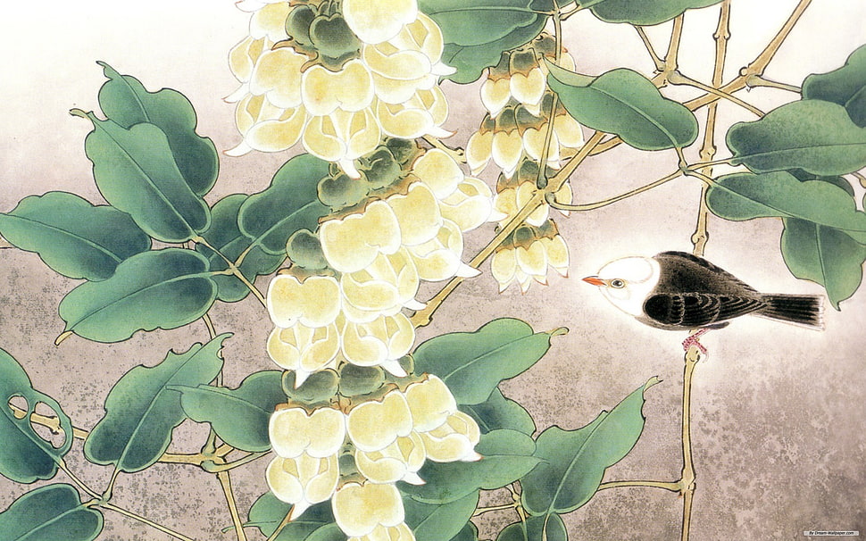 black bird perching on flower branch painting, birds, flowers, nature HD wallpaper