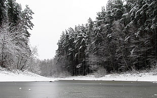 grey scale photo of body of water