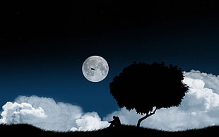 silhouette photo of person near tree under stratocumulos clouds