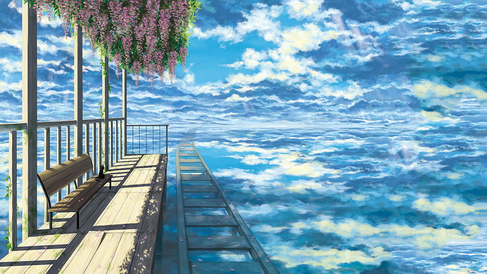brown wooden park bench, sky, clouds, bench, cat HD wallpaper