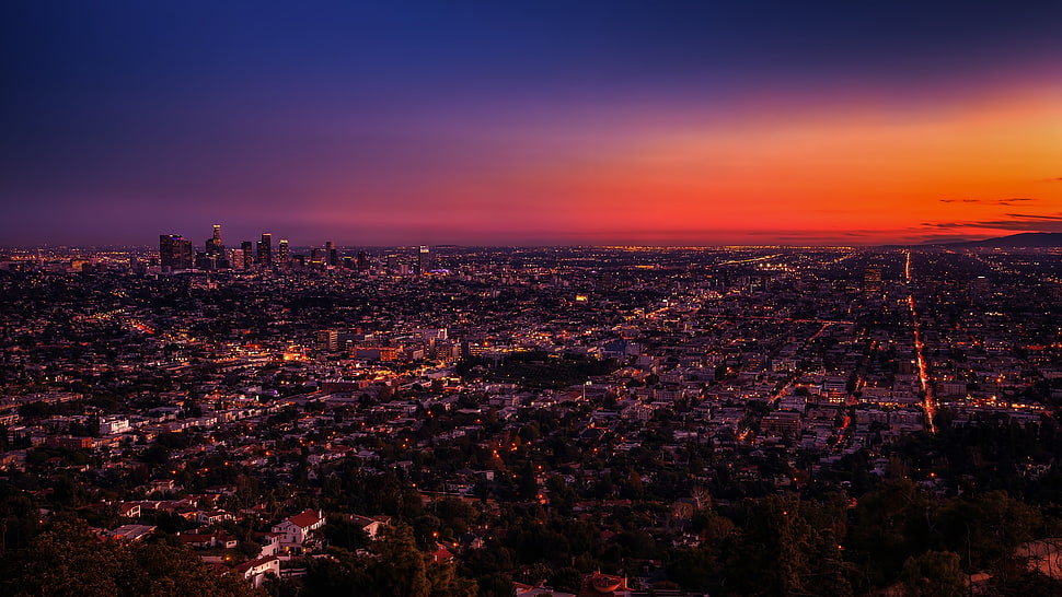 Bird's eye view photo of city, city, urban, sunset, Los Angeles HD ...