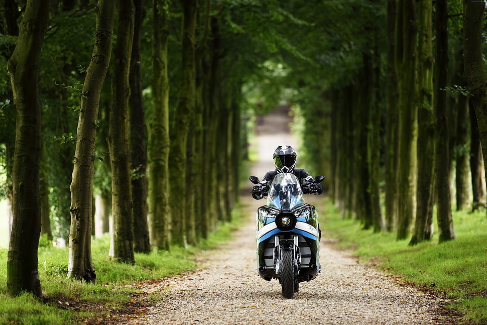 person riding on motorcycle between tall trees during daytime HD wallpaper