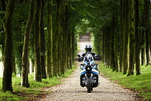 person riding on motorcycle between tall trees during daytime