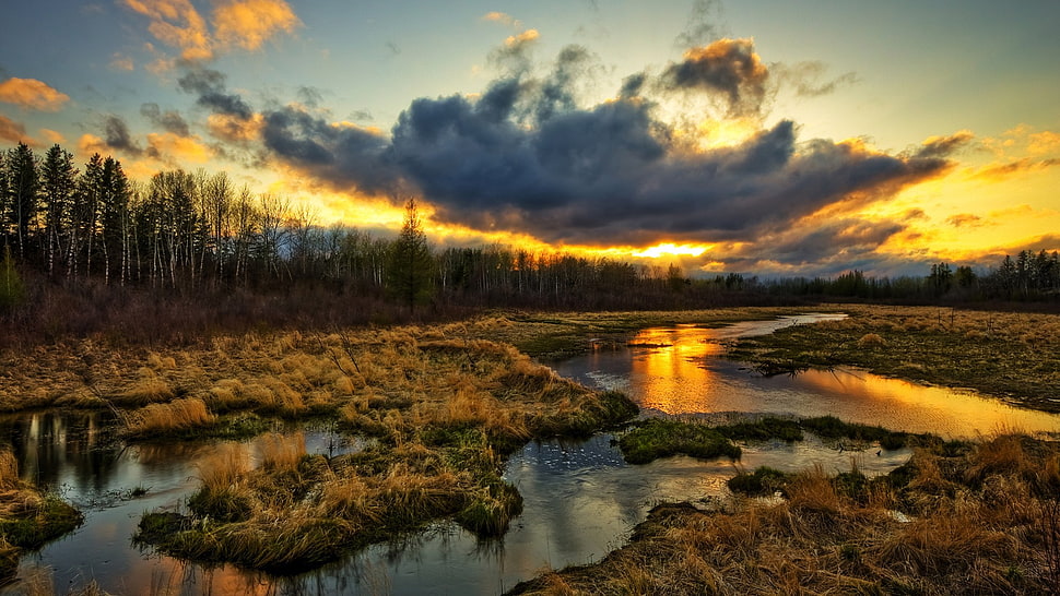 river and trees, sunlight, clouds, river, nature HD wallpaper