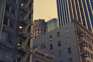 photo of beige concrete high-rise building during daytime