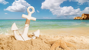 white anchor and brown starfish, landscape, sea, beach HD wallpaper