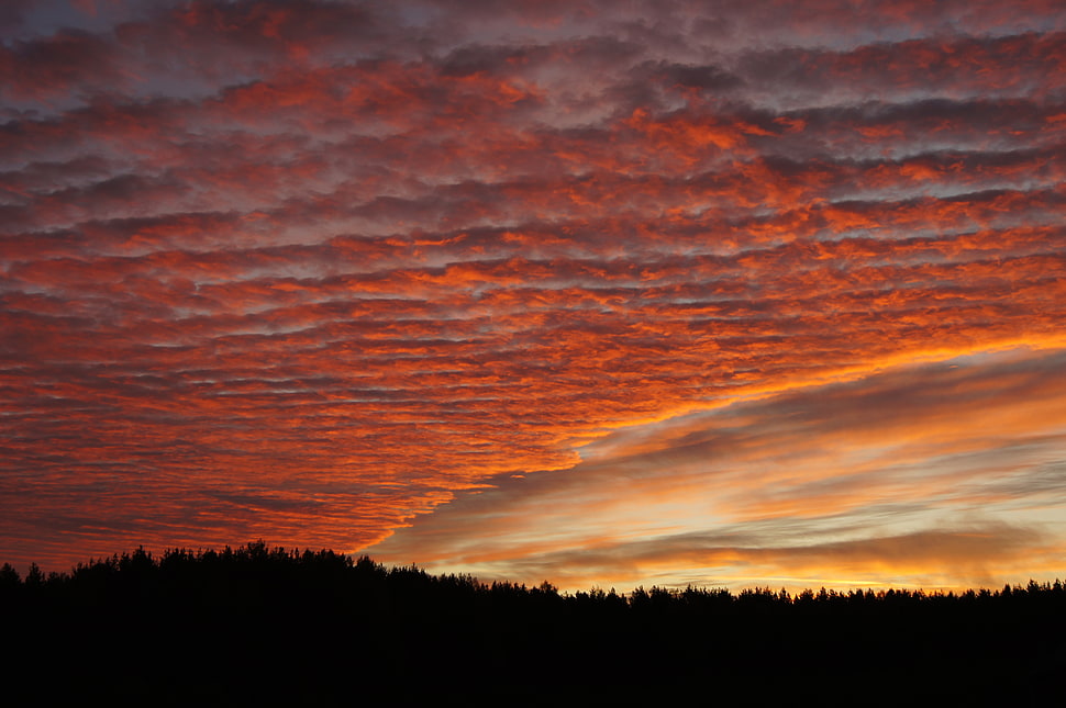red and grey clouds photography during golden hour HD wallpaper