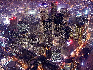 aerial photography of city buildings during night time