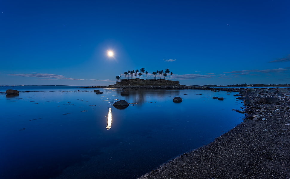 white and blue water craft, landscape, nature, moonlight, coconuts HD wallpaper