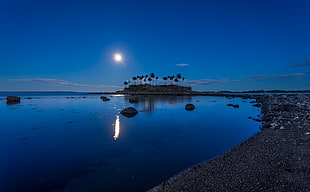 white and blue water craft, landscape, nature, moonlight, coconuts