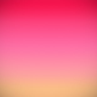 Plain, Minimal, Pink, Gradient HD wallpaper