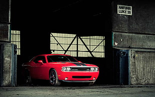 red coupe, car, muscle cars, Dodge Challenger SRT, red cars HD wallpaper