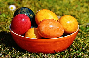 assorted colored eggs in orange ceramic bowl placed on the grass