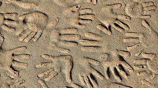 gray and black area rug, nature, sand, handprints, texture HD wallpaper