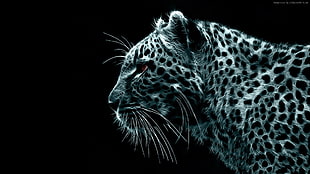 grayscale photo of leopard