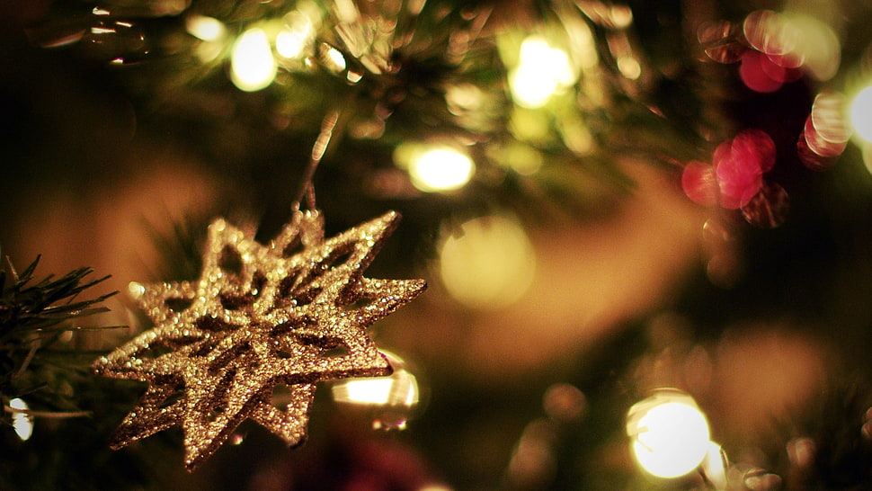 brown Christmas Tree hanging decor HD wallpaper