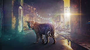 jaguar walking on pavement between houses illustration, leopard (animal), digital art