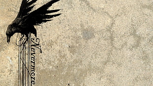 black crow and nevermore text wall art, Nevermore, raven, birds, grunge HD wallpaper