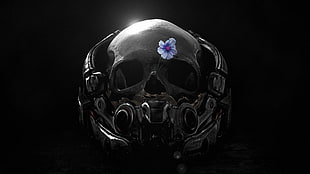 black skull digital wallpaper