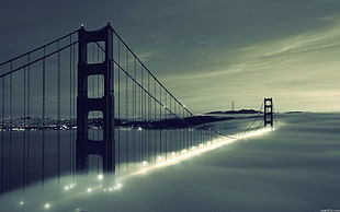 black and blue canopy tent, city, urban, bridge, Golden Gate Bridge