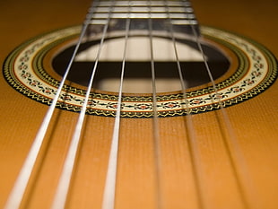 brown classical guitar string micro photo HD wallpaper