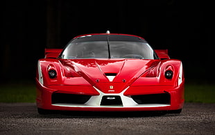 red sports coupe, car, Ferrari, Ferrari FXX, red cars