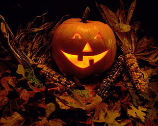 photography of lightened Jack O Lantern on corns