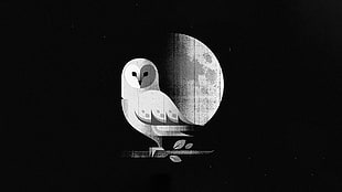 owl and moon illustration, minimalism