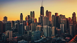 gray concrete city buildings, cityscape, USA, Chicago